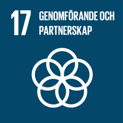 Genomförande och globalt partnerskap